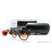 Replica Chanel Brown Ladies Sunglass HM09254