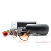 Chanel Coffee  Grade Sunglass