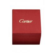 Cartier Watch Case