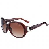 Gucci Modern Shape Brown Sunglasses 307811