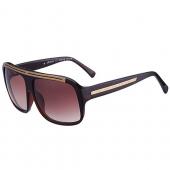 Louis Vuitton Evidence Brown Sunglasses 307857