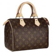 Louis Vuitton Monogram Speedy 25