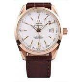 Omega Swiss Seamaster Aqua Terra Brown Strap White Striped Dial