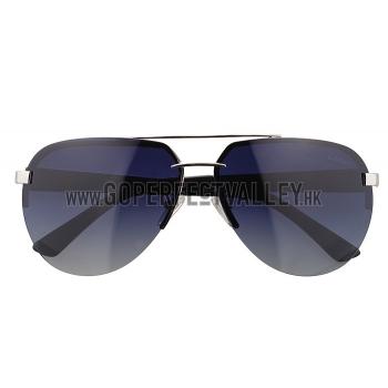 Cartier Wild Panthere Detail Silver Frame Silver Temples Sunglasses 308191