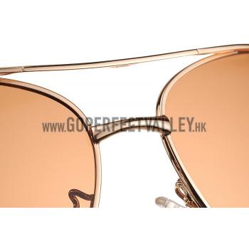 Cartier Panthere Detail Gold Frame Brown Lenses Sunglasses 308131