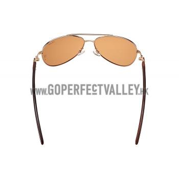 Cartier Panthere Detail Gold Frame Brown Lenses Sunglasses 308131