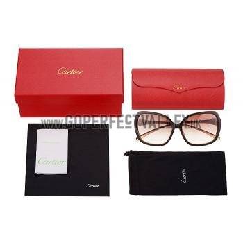 Cartier Panthere Wild de Cartier Beige Frame Sunglasses  308068