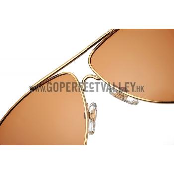 Cartier Wild Panthere Aviator Gold Sunglasses 307802