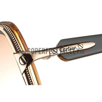 Cartier Brown Frame Brown Lenses Sunglasses 308257