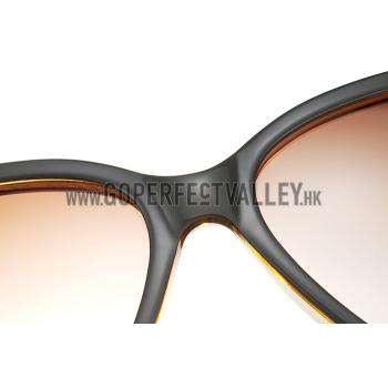 Cartier Brown Frame Brown Lenses Sunglasses 308257