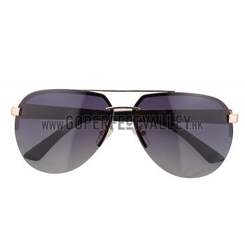 Replica Cartier Wild Panthere Detail Gold Frame Gold Temples Sunglasses 308190