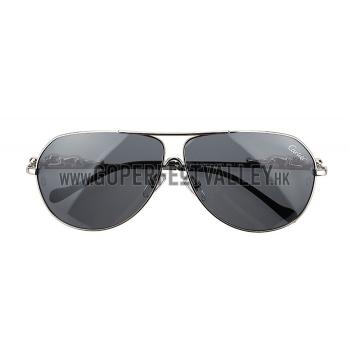 Cartier Wild Panthere Aviator Silver Sunglasses 307801