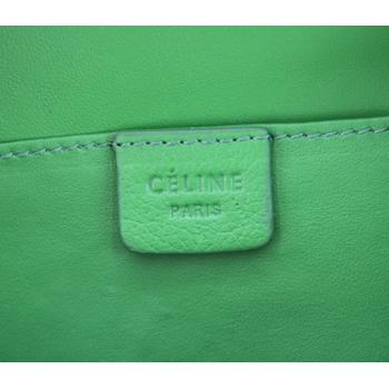 Celine 80029 Ladies Cow Leather Green Bag HM01664