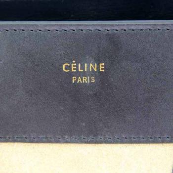 Celine 80017 Ladies Cow Leather Handbag HM02393