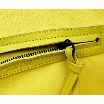 Celine  3041 Ladies Handbag Yellow