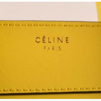 Celine  303 Ladies Handbag Crocodile