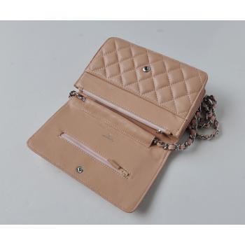 Chanel Mini bags 33814 Pink 2way Ladies