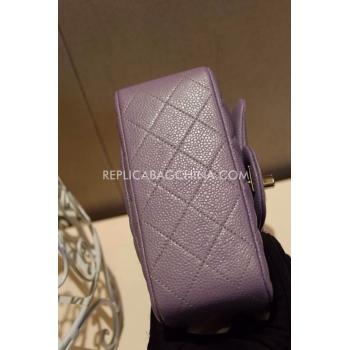 Chanel  Flap Handbag Snakeskin Mini Purple