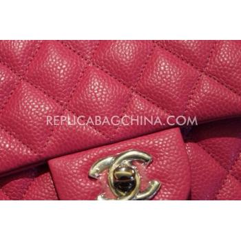 Chanel Snakeskin Handbag  Flap Mini Red