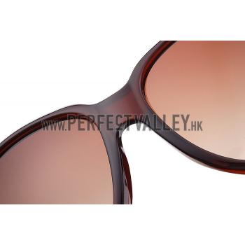 Gucci Modern Shape Brown Sunglasses 307811