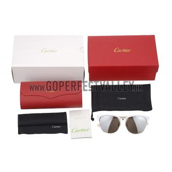 Cheap Gucci Cat Eye Silver Frame Sunglasses 308201