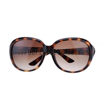 Gucci Modern Shape Havana Sunglasses 307812