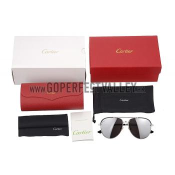 Gucci Ultra-light Aviator Silver Frame Sunglasses 308206