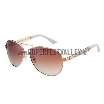 Gucci Signature Logo Gold Frame Brown Lenses Sunglasses 308145