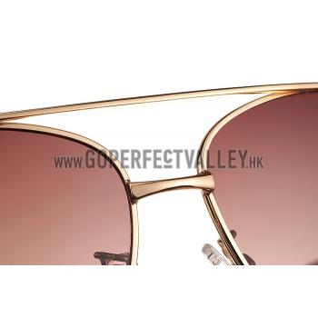 Gucci Signature Logo Gold Frame Brown Lenses Sunglasses 308145