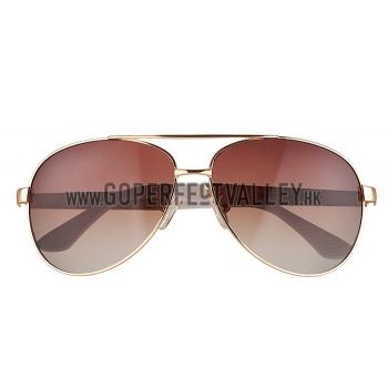 Gucci Signature Logo Gold Frame Brown Lenses Sunglasses 308145