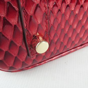 Hermes Birkin 6088 Ladies Snake Leather Red