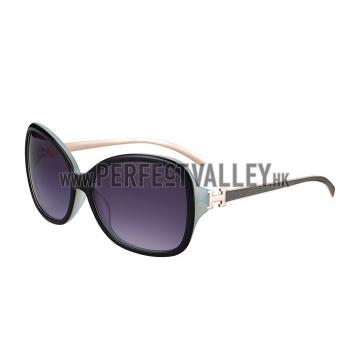 Hermes H Logo Leather Grey Sunglasses 307848