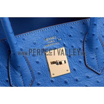 Hermes Birkin 35 Blue Ostrich Leather 607483