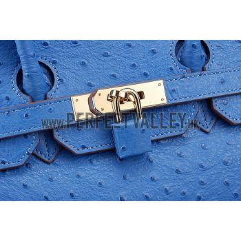 Hermes Birkin 35 Blue Ostrich Leather 607483