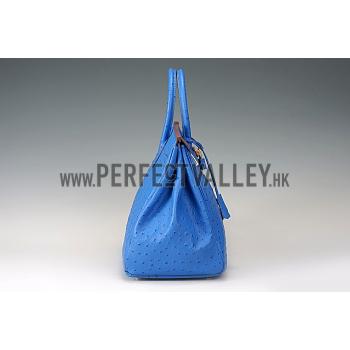 Hermes Birkin 35 Blue Ostrich Leather 607483