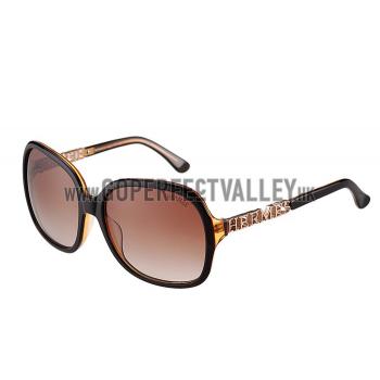 Hermes Large Oversized Brown Frame Sunglasses with Metallic Logo 308103