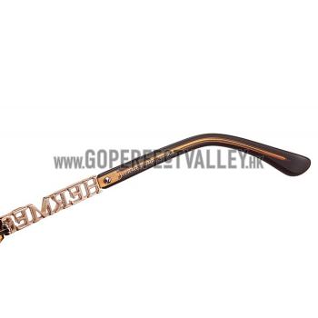 Hermes Large Oversized Brown Frame Sunglasses with Metallic Logo 308103