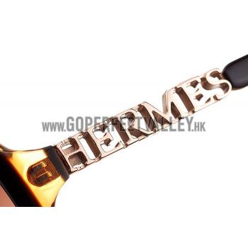 Hermes Large Oversized Brown Frame Sunglasses with Metallic Logo 308103