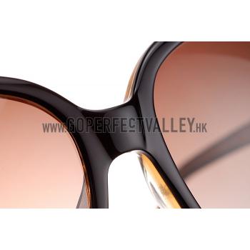 Hermes Large Oversized Brown Frame Sunglasses with Metallic Logo 308103