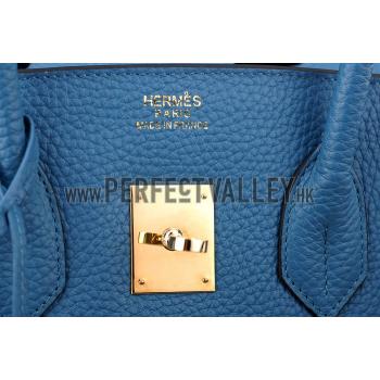 Hermes Birkin Horse Embossed Gold Hardware Tote Blue