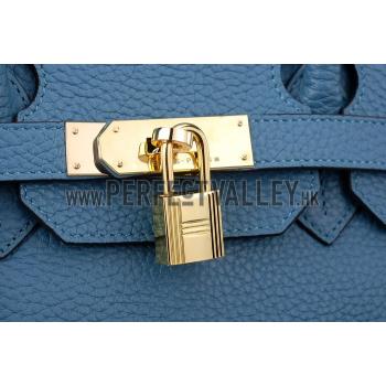 Hermes Birkin Horse Embossed Gold Hardware Tote Blue