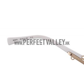 Hermes Carriage Motif White Sunglasses 307833