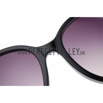 Hermes Carriage Motif White Sunglasses 307833