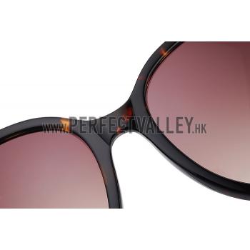 Hermes Carriage Motif Havana Sunglasses 307832