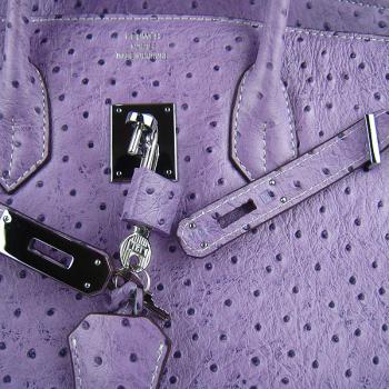 Hermes Birkin 6089 Handbag Purple