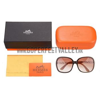 Hermes Large Oversized Beige Frame Sunglasses with Metallic Logo 308102