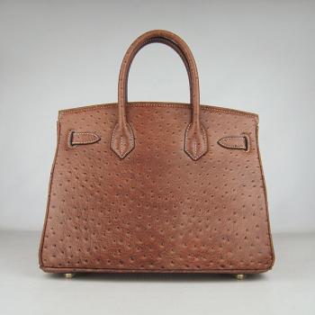 Hermes Birkin 6088 Handbag Ostrich Skin Coffee