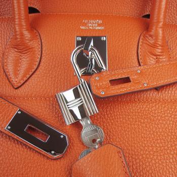 Hermes Birkin 6109 Handbag Cow Leather HM08855