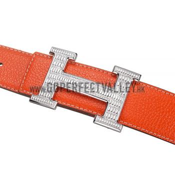 Hermes Orange With Silver 