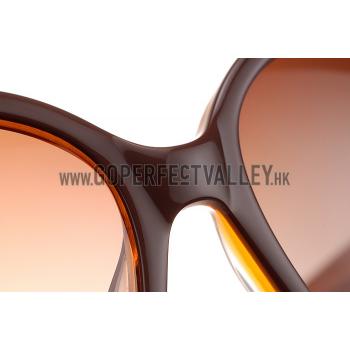 Replica Hermes Oversized Round Frame Brown Sunglasses 308099